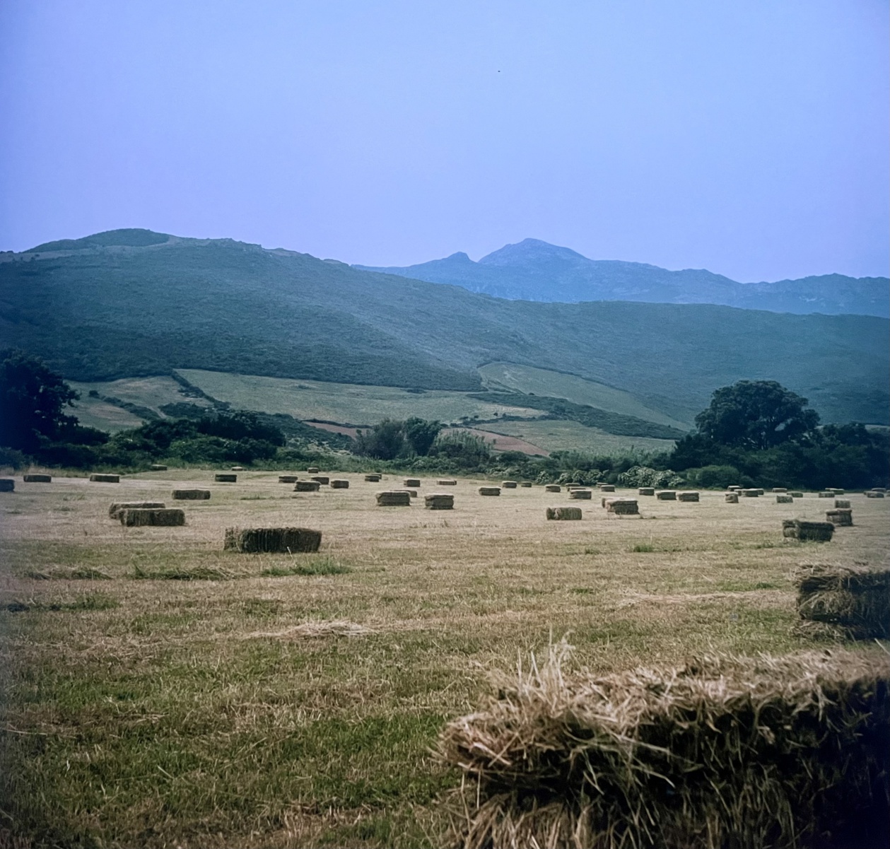 Maddalena Rodriguez-Antoniotti,  Eloge de la ruralité