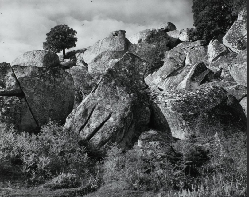 André Kertesz, Corsica 1932