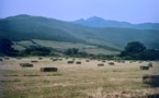 Plaidoyer pour une bio-région corse